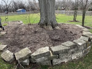 IMG_0600