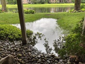 IMG_1312