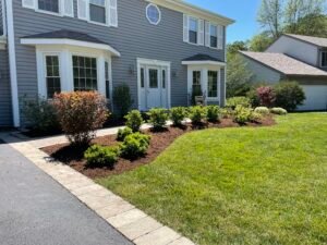 IMG_1121 (1)