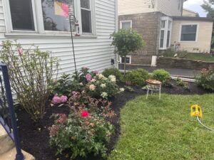 IMG_1697 (1)