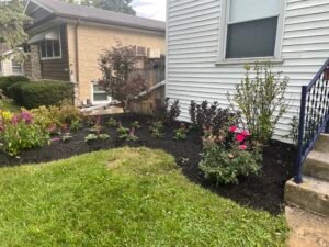 IMG_1698 (1)